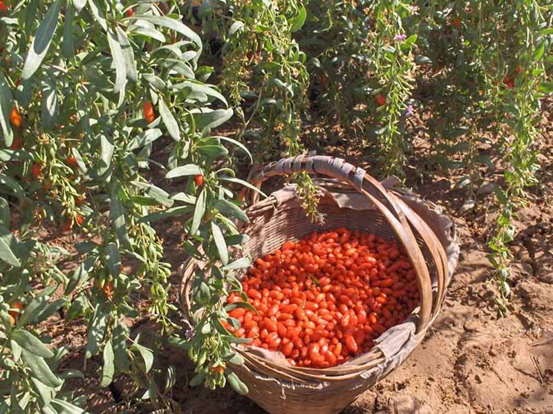 微信圖片_20200904165718.jpg 微信圖片_20200904165718.jpg