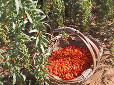 9��3�ա�����ĳ���Ʒ�ƶ�λ��ԃ�(xi��ng)Ŀ�R��(b��o)���A�M��Ļ��