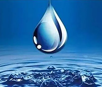 2024��ˮ��(w��)�ИI(y��)������ԃ��˾����