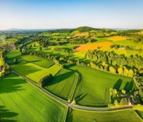 �r(n��ng)�I(y��)�ИI(y��)н���O(sh��)Ӌ������н����Ұ���ի@�˲ŴT�����r(n��ng)�I(y��)�����YԴ��ԃ-�r(n��ng)�I(y��)н�꿃Ч-�ɶ��r(n��ng)�I(y��)�ИI(y��)������ԃ��