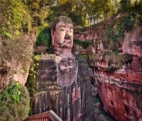 ��ɽ�����I(y��)��λ��ʮ���塱Ҏ(gu��)�����Ʒ���ָ�����h������ʮ����Ҏ(gu��)��-�I(y��)��λʮ����Ҏ(gu��)����