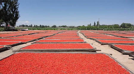 �����ԃ��������ИI(y��)����(w��)���ɶ�Ʒ�ơ��¹���轡��������ԃ������Ʒ�ƶ�λ��ԃ����(w��)��